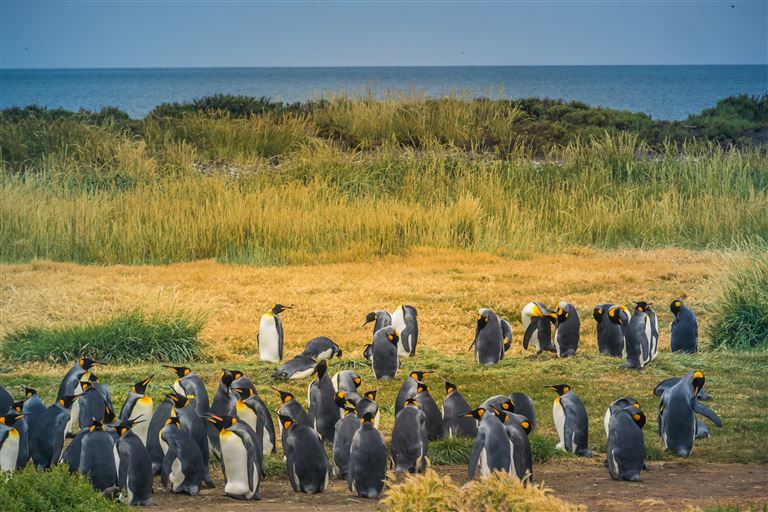 Die ausführliche Reise in Patagonien @ raccoon /adobestock